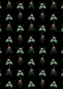 Floral Tri Flower Pattern