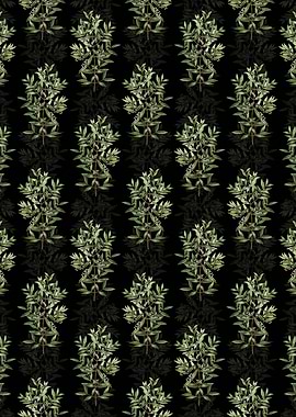 Phillyrea Tree Branch