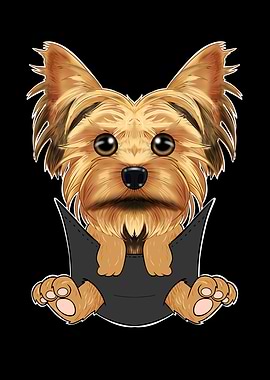Yorkshire Terrier Puppy