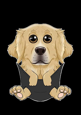 Golden Retriever Puppy