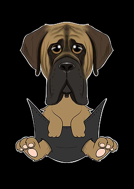 Mastiff Puppy In Pocket