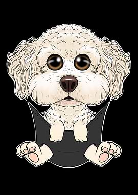 Bichon Frise Puppy Pocket