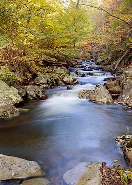 Waterfall in Forest Nature