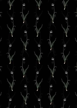 Nodding Onion Pattern