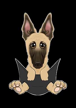 Malinois Puppy In Pocket