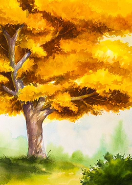 Vivid Yellows of Autumn