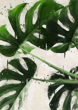 monstera