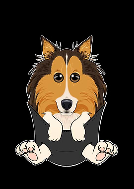 Collie Puppy In Pocket