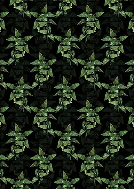 Common Smilax Pattern