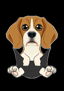 Beagle Puppy In Pocket