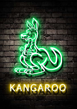 Kangaroo Animal