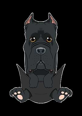 Cane Corso Puppy In Pocket