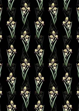 Elder Scented Iris Pattern