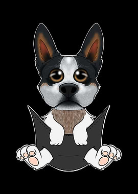 Australian Cattle Dog