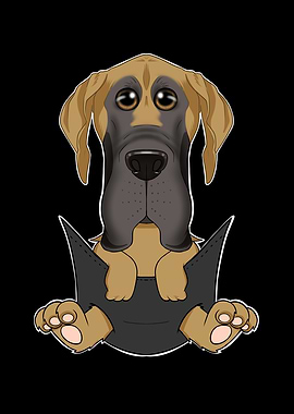 Great Dane Puppy In Pocket