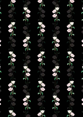 Pink Oenothera Flower