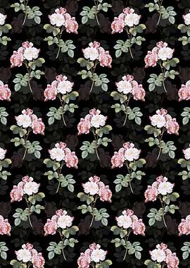 Pink Damask Rose Pattern