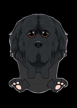 Newfoundland Puppy Pocket