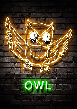 Owl Animal