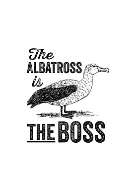 The albatross is the boss