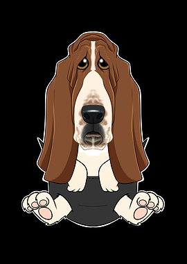 Basset Hound Puppy
