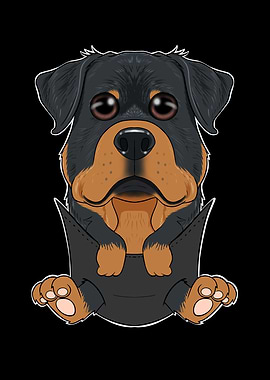 Rottweiler Puppy In Pocket