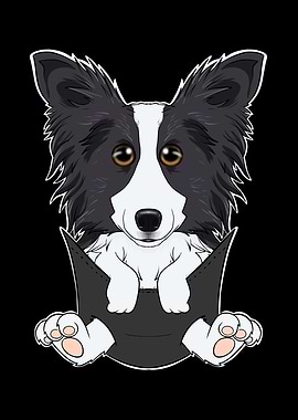 Border Collie Puppy Pocket