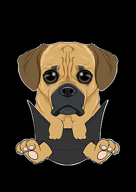 Puggle Puppy In Pocket