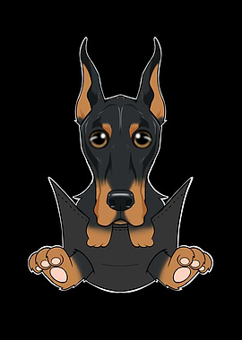 Doberman Puppy In Pocket