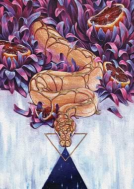 The sweetness of the pytho