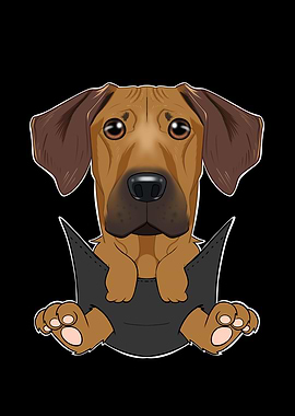 Rhodesian Ridgeback Puppy