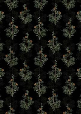 Mediterranean Cypress