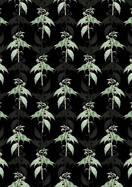 Commelina Zanonia Pattern