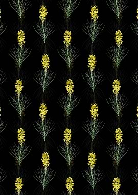 Yellow Asphodel Pattern