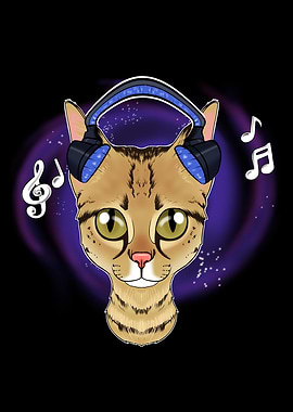 Cute Scottish Fold Cat