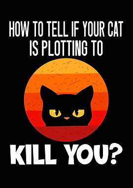 To Tell If Cat Is Plotting