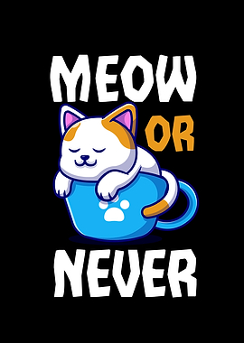 Meow Or Never