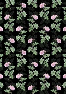 Floral Damask Rose Pattern
