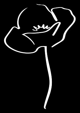 Poppy Line Art Minimal