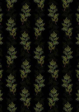 Virginian Juniper Pattern