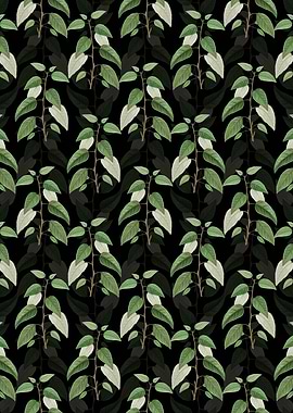 Black Balsam Poplar Leaves