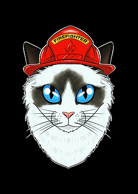 Firefighter Ragdoll Cat