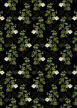 Floral Caper Plant Pattern