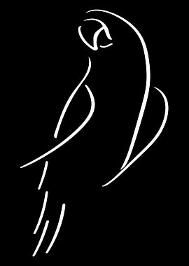Parrot Line Art Minimal