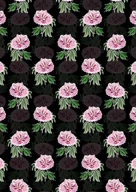 Red Curled Tree Peony