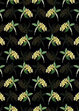 Dense Flowered Dendrobium