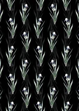 Tall Bearded Iris Pattern