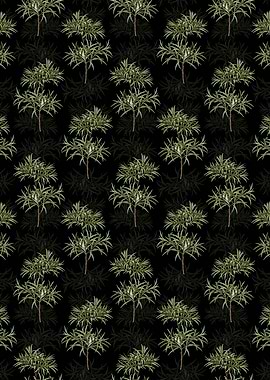 Bitter Willow Pattern