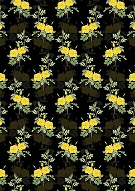 Yellow Sweetbriar Roses