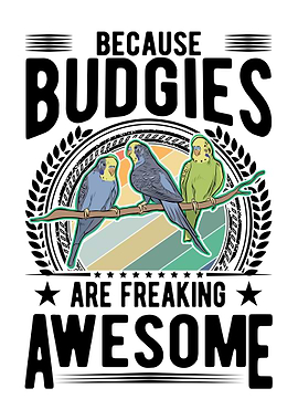 Bugdie Parakeet Cockatiel